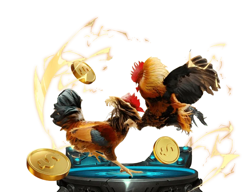 Đá gà và xổ số tại MB6666